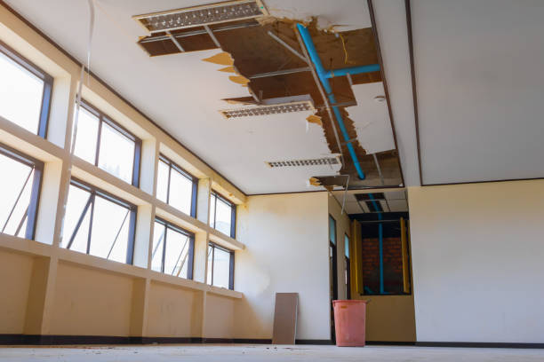 Best Water damage restoration near me  in Swedesboro, NJ