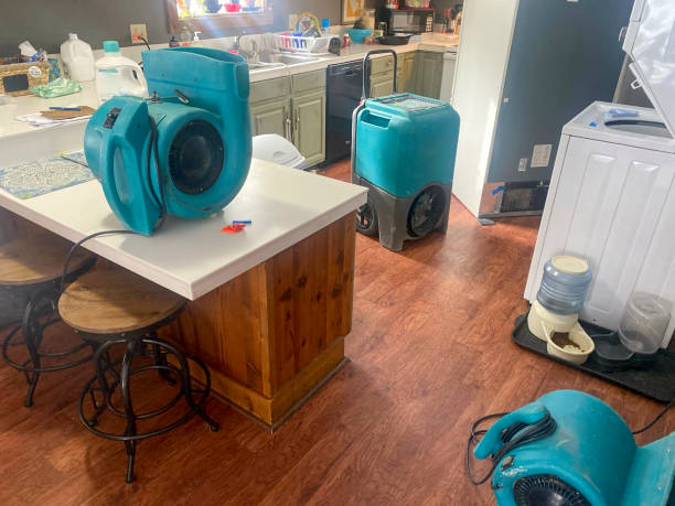 Best Professional water damage repair  in Swedesboro, NJ
