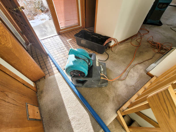 24/7 water damage repair in NJ