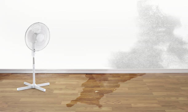 Professional Water damage restoration in NJ
