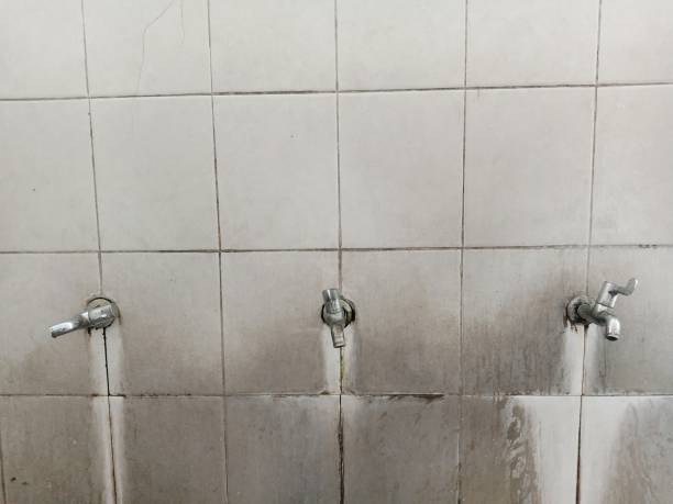 Best Residential water damage restoration  in Swedesboro, NJ