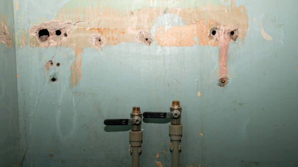 Best Flood restoration services  in Swedesboro, NJ