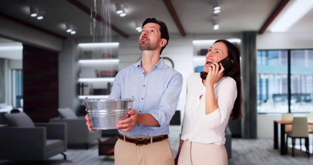 Best 24/7 water damage repair  in Swedesboro, NJ